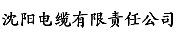 cctv1024香蕉视频电缆厂logo